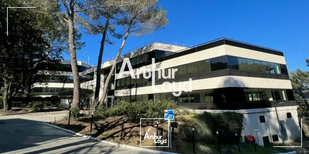 Ecoryzon - Bureaux rénovés 5771.87 m² divisibles à louer - Sophia Antipolis