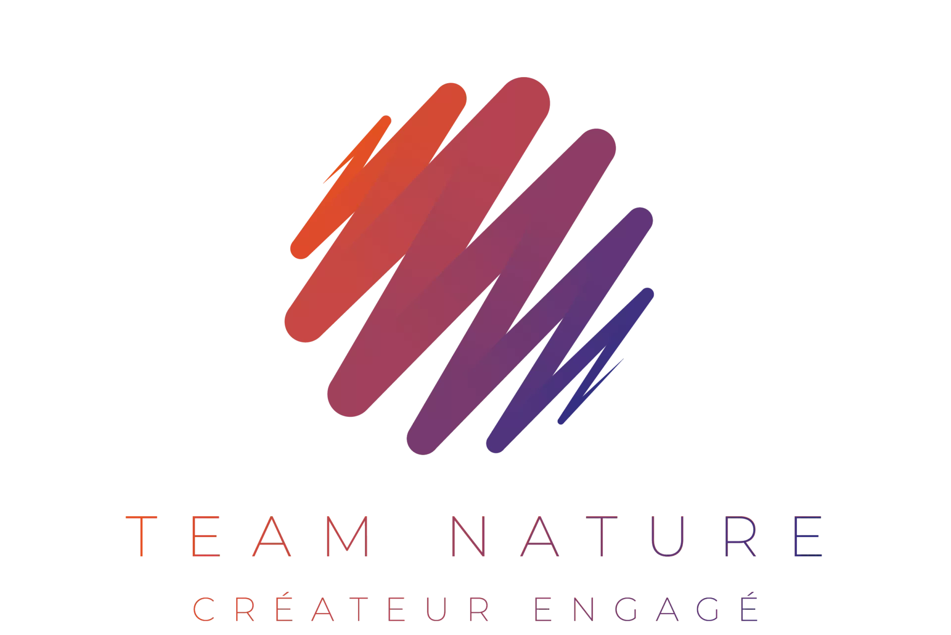 Logo TEAM NATURE