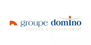 Logo Groupe Domino